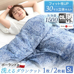 日本製 洗える 羽毛肌掛け布団 ホワイト マザー グース ダウン 95% シングル ロング CILブラックラベル 消臭 抗菌 【新技術アレルGプラス 気になる臭いも改善】 440dp以上 肌掛け 羽毛布団 肌掛