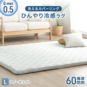 �y�{���N�[�|��5%���z �Ђ���⊴�I���Ɍ�60mm �􂦂� �J�o�[�����O���O Q-max0.5 �h�� �R�� �h�L �h�_�j ����~�� 130×185 185×185 185×240 �⊴���O �J�[�y�b�g �ėp �ڐG�⊴���O �J�o�[ ���O�}