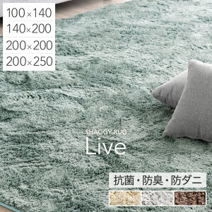 さらふわ手触り 洗えるシャギーラグ 抗菌 防臭 低ホル 防音 滑り止め ラグ ラグマット 100×140 140×200 200×200 200×250 オールシーズン ウレタン 北欧 長方形 1畳 2畳 2.5畳 3畳 厚手 無地 カーペット