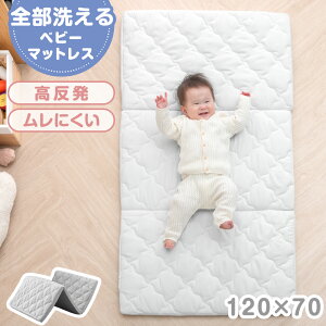 y0~5%OFFN[|z 􂦂 xr[}bgX O܂ 70 120 ~zc xr[}bg xr[zc Q}bg }bg Qzc zc ӂƂ xr[ Ԃ q LbY ۈ牀 Q 