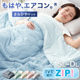 ≪ZIP!で紹介≫ もはや、エアコン。(R) 持続冷感 レーヨンケット 掛け布団 掛布団 かけ布団 肌掛け布団 リバーシブル 冷感 防臭 抗カビ 除湿 夏用 洗える シングル セミダブル ダブル ひんやり 接触冷感 エアコンドライ 抗菌 夏