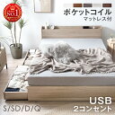 【正午~クーポン5%引!更にP3倍】 楽天1位 収納ベッド マットレス付き ポケットコイル 厚み14/22cm ベッド USB コンセント シングルベッド セミダブルベッド ダブルベッド クイーンベッド 収納付きベッド マットレス付 ベット マットレスセット シングル クイーンサイズ