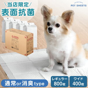 y~5%OFFN[|z sX̕\ʍRہtIׂ2^Cv ybgV[c M[ 800 / Ch 400 ybgV[g gCV[g gCV[c ybgpV[g V[g V[c  ^