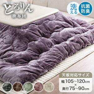 Ƃ zc |zc Pi ` 200×240  zc pzc {[ 唻 傫 傫 g  |zc 􂦂 R hL k R^c Vv  ~