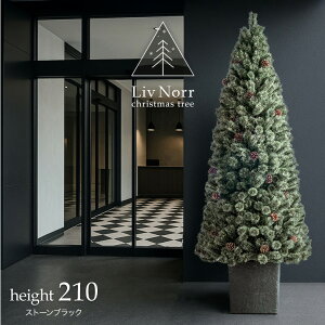 【本日クーポン5%引】 RENEW ヌードツリー Liv Norr 石目調 ポット付き 120cm 150cm 180cm 210cm 松ぼっくり付 ヌード ツリー リアル クリスマスツリー クリスマス 120 150 180 210 松ぼっくり スリム 大型 北