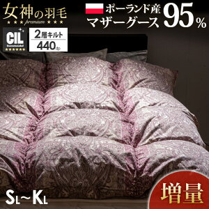 y{N[|5%z _̉Hѕzc |[hY }U[O[X 95%  or  Wh_j 􂦂  60Te 100 wLg 440dpȏ O[X_E 95  { VO Z~_u