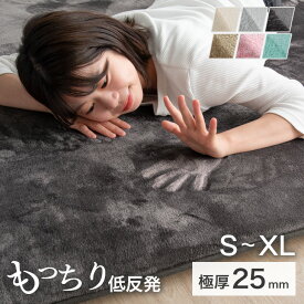 【20時~5%OFFクーポン】 もっちり 低反発 極厚25mm ラグ 防音 防ダニ 厚手 滑り止め付 オールシーズン 長方形 正方形 四角 低反発ラグ ラグマット カーペット ラグカーペット 絨毯 ホットカーペット 床暖房 対応 おしゃれ 北欧 130×185 / 185×185 / 200×250 / 200×300