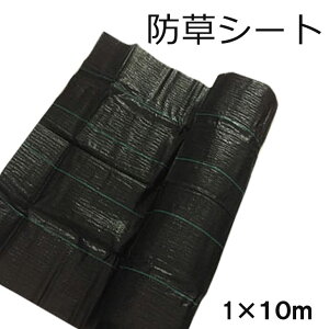 hV[g 1×10 lH Œ K[fjO DIY K[f  lH   V[g Gh~V[g  h G΍ ƒ؉  悯V[g