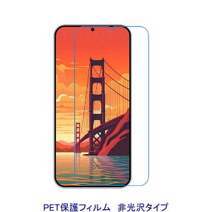 �y2���z Galaxy S24+ Plus 6.7�C���` �yPET�f�ށz �t���ی�t�B���� ����� �w��h�~