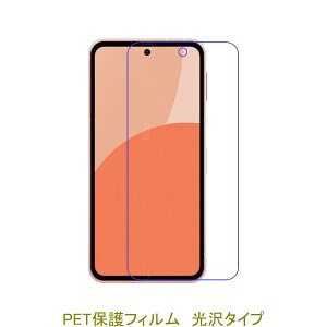 �y2���z AQUOS sense9 SH-53E SHG14 SH-M29 A405SH sense10 SH-53F SHG15 SH-M33 �yPET�f�ށz �t���ی�t�B���� ������ �N���A