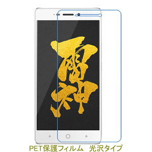 �y2���z RAIJIN FREETEL ���_ FTJ162E �yPET�f�ށz �t���ی�t�B���� ������ �N���A