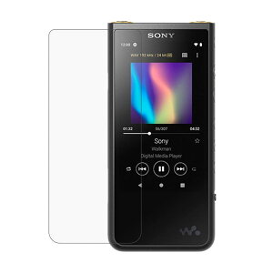 SONY Walkman NW-ZX500 NW-ZX505 NW-ZX507 9H 0.26mm �����K���X �t���ی�t�B���� 2.5D