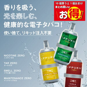 iPPUKU RELAX �M �y�߂Ƃߔ��� 10�w����1���܂��z�g���̂ăV�[�V�� 6000��z�� �����^�уV�[�V�� �����\�[�� �������e�B�[ �R�[�� TypeC�[�d ���L�b�h�����s�v LED �|�[�^�u���V�[�V�� ��������