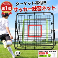 ＼楽天1位 17冠達成／リバウンドネット 室内 屋外兼用壁打ち 野球 サッカーネット 100cm×100cm サッカー…