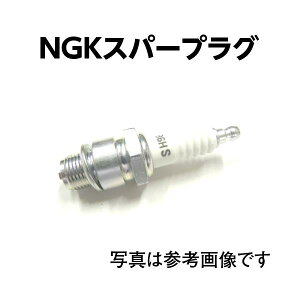 NGK �D�O�@ �X�p�[�N�v���O BR8ES ���[���֑Ή����i