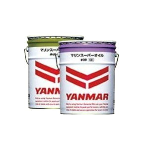 }[ IC }[ }X[p[IC 30 20L p fB[[ GW IC }IC