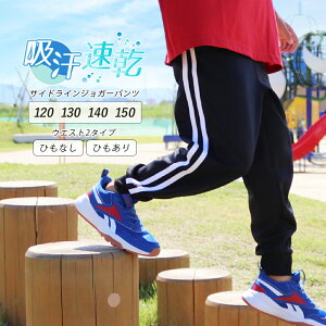 WK[pc 2{C LbY WjA X|[cEFA W[W X|[c TChC C ̑ q z hC X|[c~bNX _X pc Y{ {g j̎q 