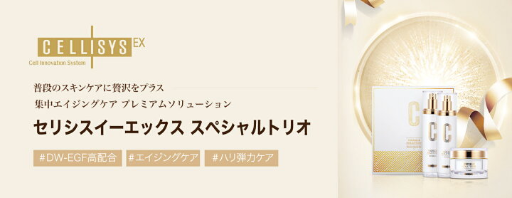 楽天市場】【期間限定！20%OFFクーポン配布中】【店舗内6,000円以上の 