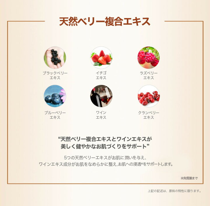 楽天市場】【店舗内6,000円以上のお買い物で特典あり】【公式】【正規  