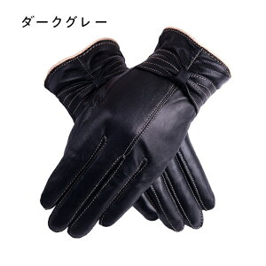  fB[X {v O[u U[ v {v Ԃ U[O[u {vO[u { N h ꂢ 킢 p v[g Mtg