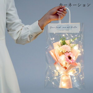 \[vt[  Ό ԑ ͂Ȃ  KN [Y  J[l[V Mtg v[g wj  JXj AEj 蕨 j o^C ސEj 