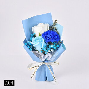 \[vt[ ~ju[P ̓v[g o ~jԑ \[vt[ ͂Ȃ   Ό v[g Mtg a 蕨 LO ސEj ʉ j Əj 