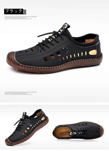 rWlXV[Y bV Č ʋC hCrOV[Y Y T_ Xj[J[ C h ʋC U Oo