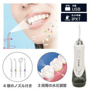 o   o Ԑ N[i[ Ԑ uV o |Pbg N[i[  ԃWFbg ԃWFbguV @ o@  