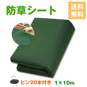 X[p[SALEhV[g 1mx10m V[g GV[g V[g ϋv sDz O򉻖h~ _ |p Hp lHŗp Us20Zbg 