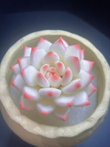 �����A�� �V�~�����[�V���� ����̍H�|�i�����A�� �s���N�Ɣ��̔���� 1������ �T�C�Y��55mm