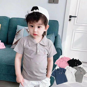 q |Vc  TVc n Vv size:80cm`120cm Pi j̎q ̎q jp zCg JbRCC ubN sN lCr[ O[ WjA  qǂ i lۂ q