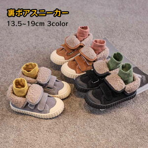 qC LbYV[Y ̎q j̎q Xj[J[ Xb| }WbNe[v H ~ N {A g R[fC Vv 킢  t@bV JWA  o