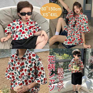 eqyA ԕ AnVc eq yAbN NR[f eqR[f }} ̎q pp j̎q LbY q ][g o  C r[` s ԕVc Ƒ  eqyAbN 