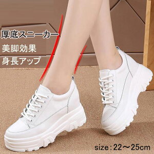  Xj[J[ fB[X U[ Xj[J[ V[Y C Xj[J[ JWA ^C  gAbv r [Jbg EH[LO  ɂ g[jO 傫T