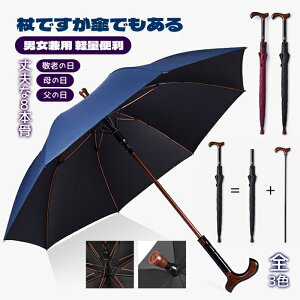 XebLP P P  P JP ̓ v[g pI ̓ Mtg hV̓ ł CMX Jp y v dݏtP 8{ ϕ am WFg} D