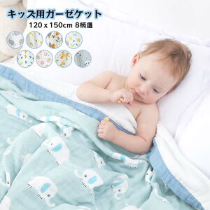 qp ^IPbg K[[Pbg 6dK[[ |zc | Ċ| 100%  t  xr[ LbY VO Q zc ʋC ӂӂ G肢 _炩  vg  ʕ 