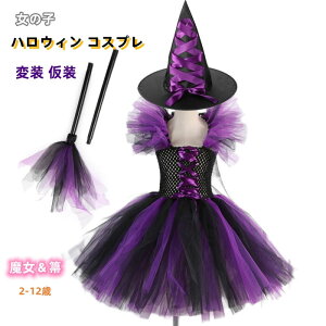 ̎q LbY nEB RXv ޏ  @g ϑ  nEBRX`[ nEBRXv RXvߑ Xe[Wߑ o Xq s[X ZbgAbv 3_Zbg 