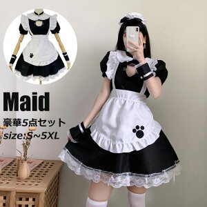 nEC Ch L RXv ߑ Ch  nEB[  fB[X lq  l  ZNV[ jEP  傫TCY ؃Zbg s[X Gv t J