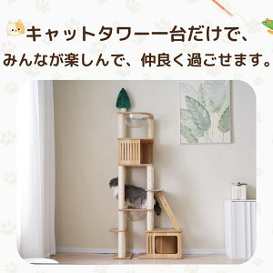 y[zLbg^[  Lpi ^ ؐ u S196cm R FDnbNt B W] R LnEX ܂Ƃ L^[ ybgpi ^s LObY cattower 