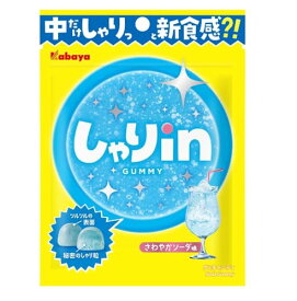 カバヤ食品 しゃりinグミ ソーダ 52g×10袋 送料無料
