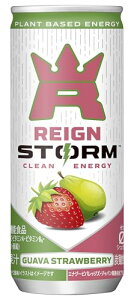 ���C���X�g�[�� (REIGN STORM) �O�@�o�X�g���x���[ �� 250ml × 30�{ �G�i�W�[�h�����N �[���J�����[ ��������