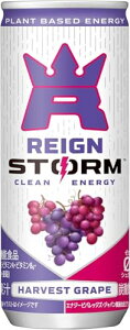 ���C���X�g�[�� (REIGN STORM) �n�[�x�X�g�O���[�v �� 250ml × 60�{ (30�{�� × 2�P�[�X) �G�i�W�[�h�����N ��������