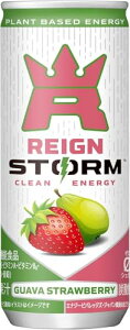 ���C���X�g�[�� (REIGN STORM) �O�@�o�X�g���x���[ �� 250ml × 60�{ (30�{�� × 2�P�[�X) �G�i�W�[�h�����N ��������