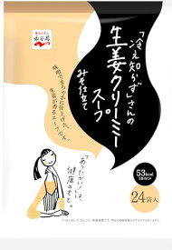 Nagatanien 永谷園 冷え知らずさんの生姜クリーミースープ 24食入 大袋タイプ 12.8グラム (x 24) 送料無料