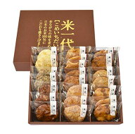 丸彦製菓 米一代 22枚 送料無料