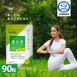 yK戵XzJlJAwXPA Ҍ^RGUCQ10 킽̃`J ENERGY 90 90 @\\Hi ӊ ̎ Ҍ^ RGUC Q10 J x  邳 