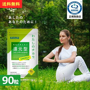 yK戵XzJlJAwXPA Ҍ^RGUCQ10 킽̃`J ENERGY 90 90 @\\Hi ӊ ̎ Ҍ^ RGUC Q10 J x  邳 