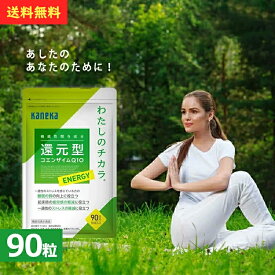 カネカユアヘルスケア 還元型コエンザイムQ10 わたしのチカラ ENERGY 90粒入り 90日分 機能性表示食品 倦怠感 睡眠の質 還元型 コエンザイム Q10 疲労感 高純度 疲れ だるさ 活力あふれる毎日を応援する 飲みやすいパウダータイプ