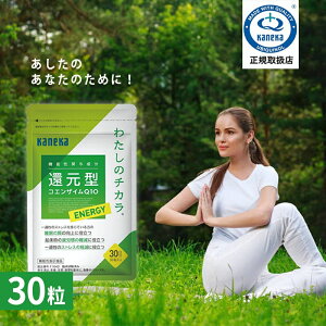 yK戵XzJlJAwXPA Ҍ^RGUCQ10 킽̃`J ENERGY 30 30 @\\Hi ӊ ̎ Ҍ^ RGUC Q10 J x  邳