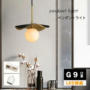 y_gCg  KX VƖ LED Ɩ AeB[N g a 킢 _Ng[ Vv k  gC Lb` H Q rO Ki xbh[ _